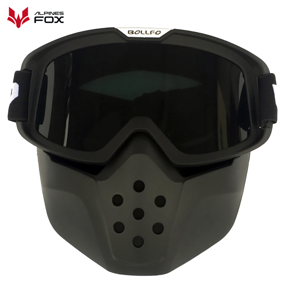 Vintage Motorcycle Helmet Gogg - Motorcycle Gear Alpine review and price